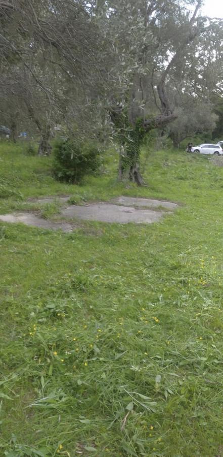 Plac u Budvi, 0m² 3