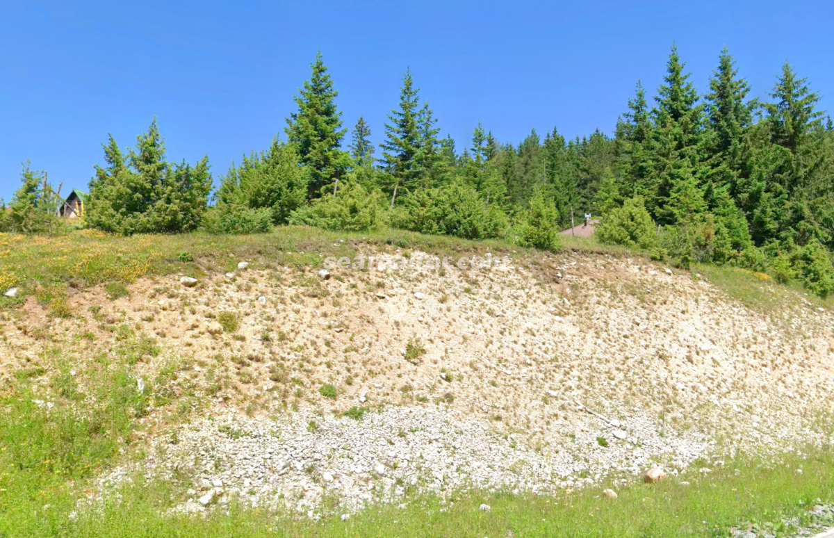 Nekretnina u Žabljak, 245m²