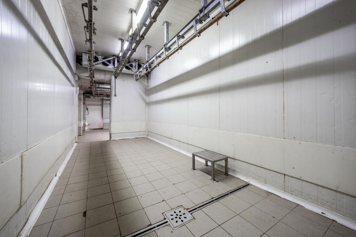 Nekretnina na Cetinju, 1200m² 19