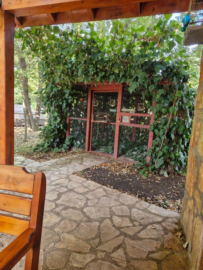 Plac u Danilovgrad, 0m² 15