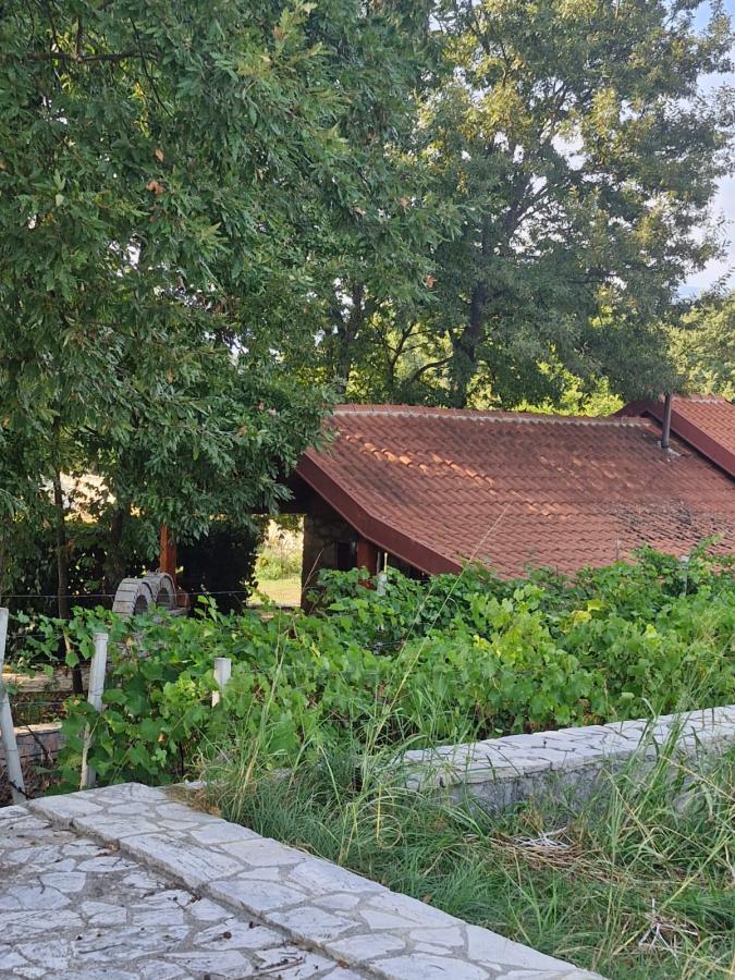 Plac u Danilovgrad, 0m² 21