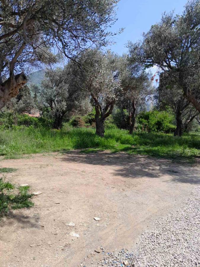 Plac u Baru, 0m²