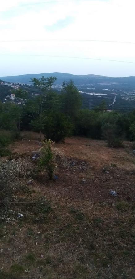Nekretnina u Kotoru, 2615m² 10