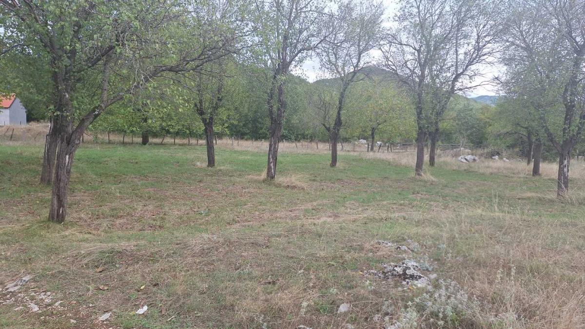 Plac u Nikšiću, 0m²