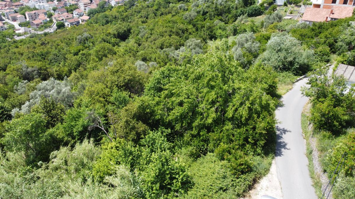 Plot in Tivat 1430 m2 with an approved project for the construction of 2 residential buildings 5