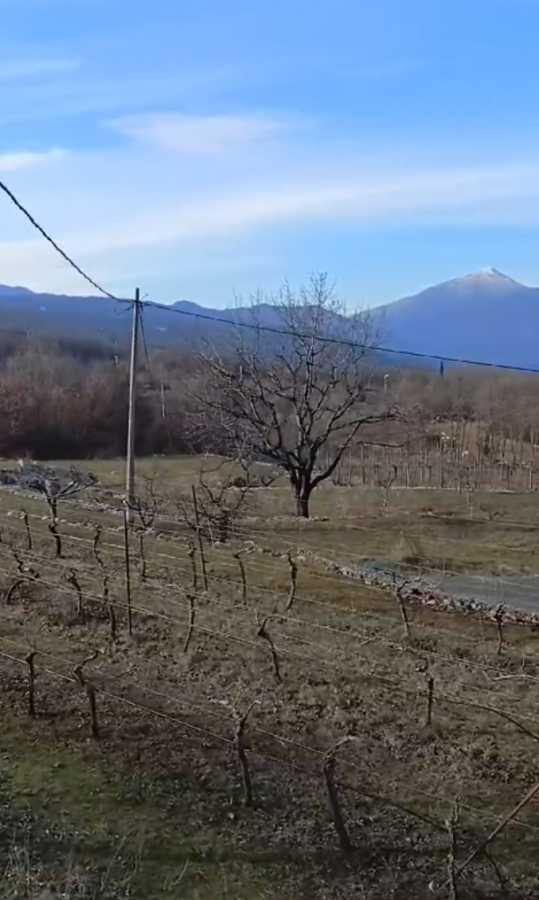 Plac u Podgorici, 0m² 2