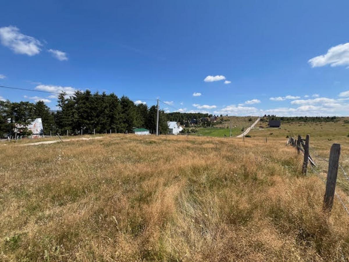 Nekretnina u Žabljak, 298m²