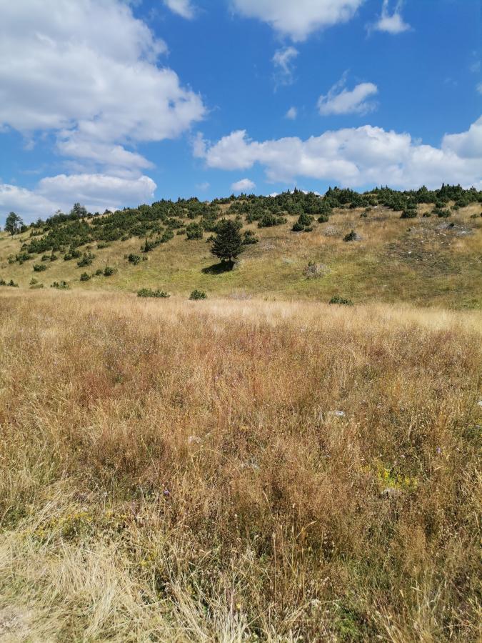 Plac u Žabljak, 0m²