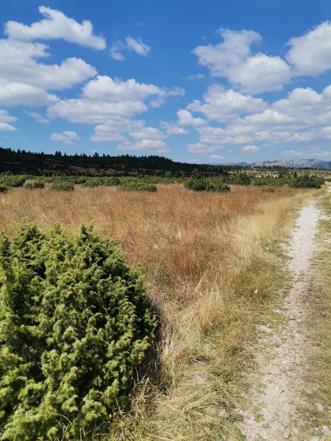 Plac u Žabljak, 0m² 5