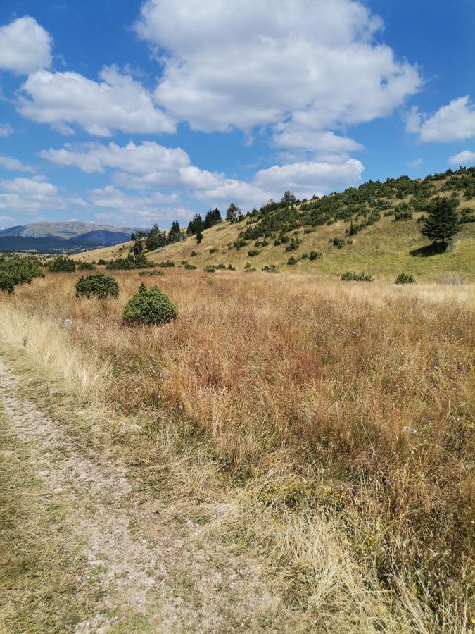 Plac u Žabljak, 0m² 6