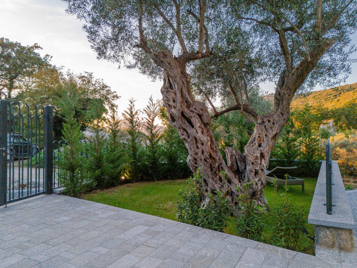 Luksuzna Vila od 240m2 sa bazenom, Budva 56