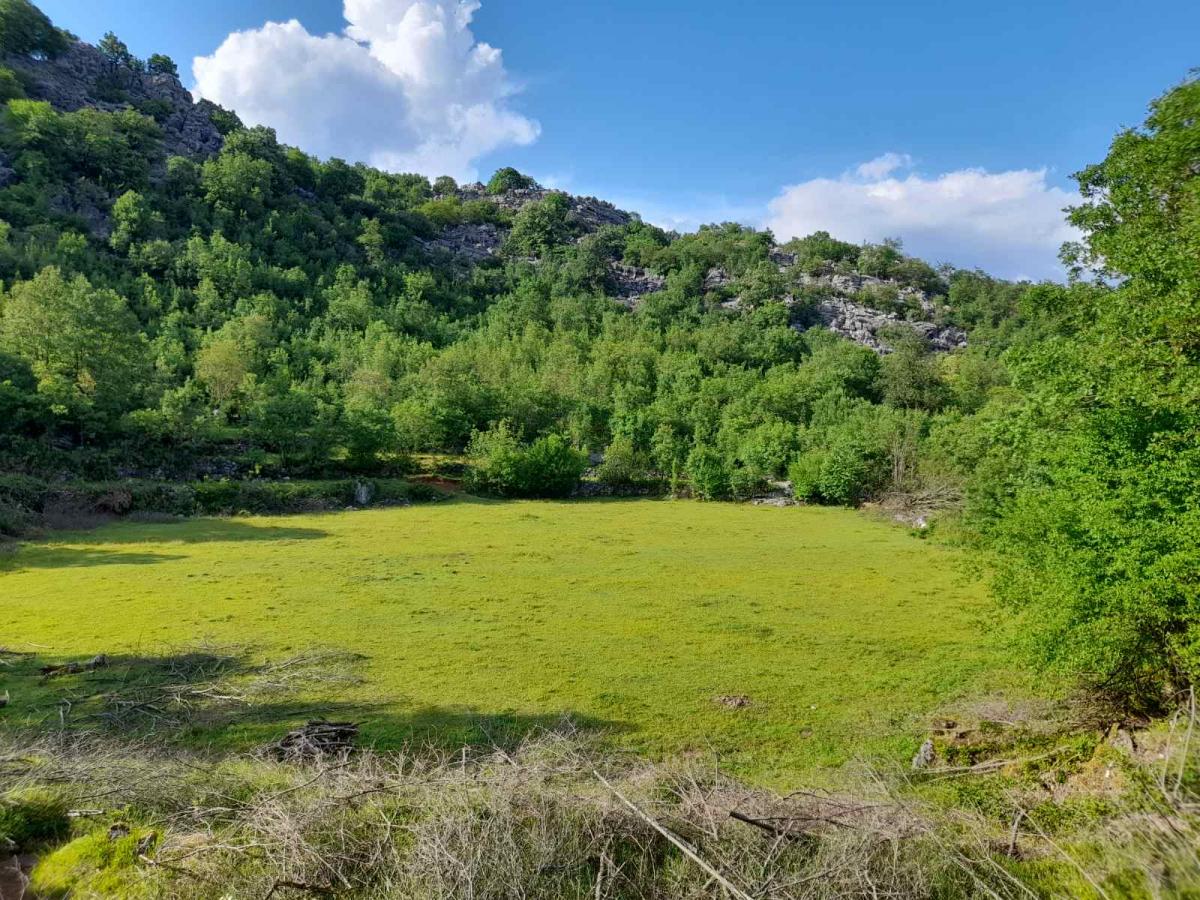 Nekretnina na Cetinju, 350m²
