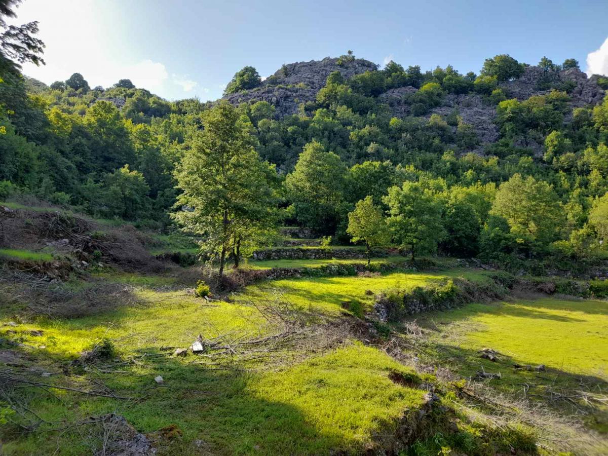Nekretnina na Cetinju, 350m² 2