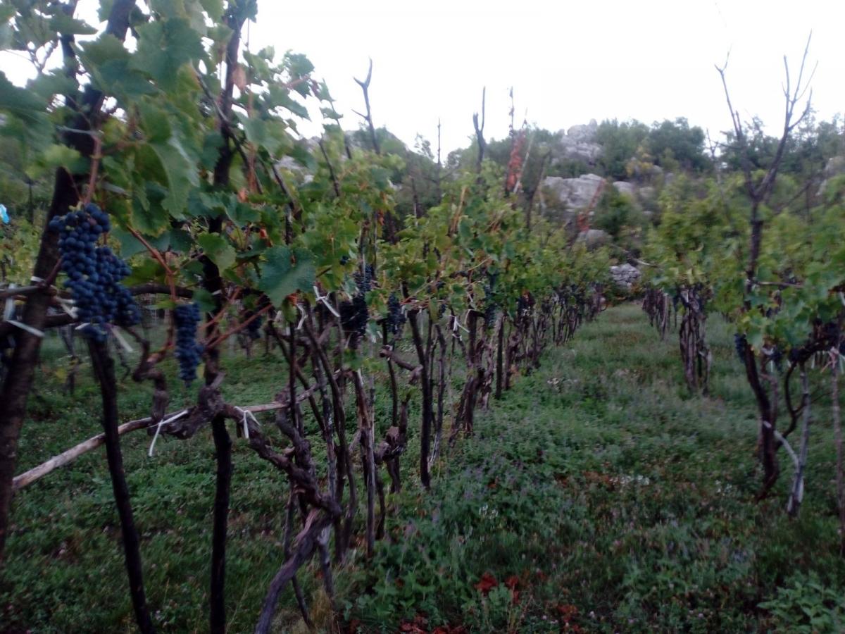 Nekretnina na Cetinju, 350m² 13