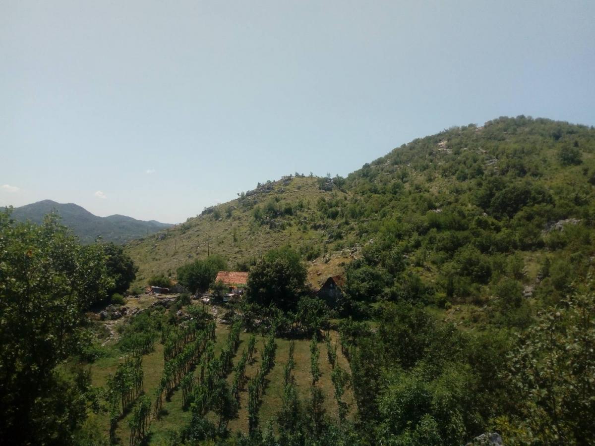 Nekretnina na Cetinju, 350m² 14