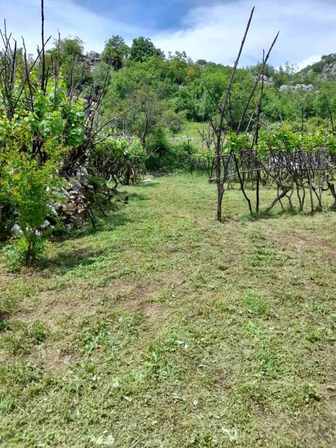 Nekretnina na Cetinju, 350m² 15