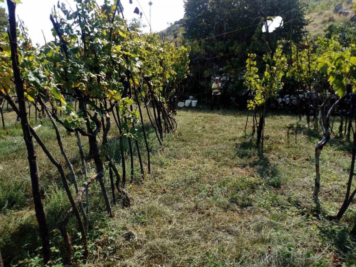 Nekretnina na Cetinju, 350m² 6