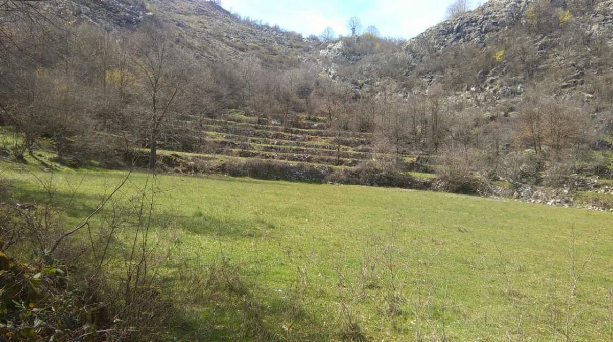 Nekretnina na Cetinju, 350m² 8