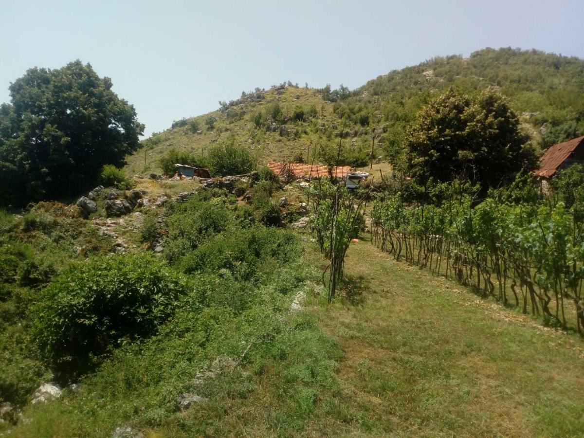 Nekretnina na Cetinju, 350m² 9