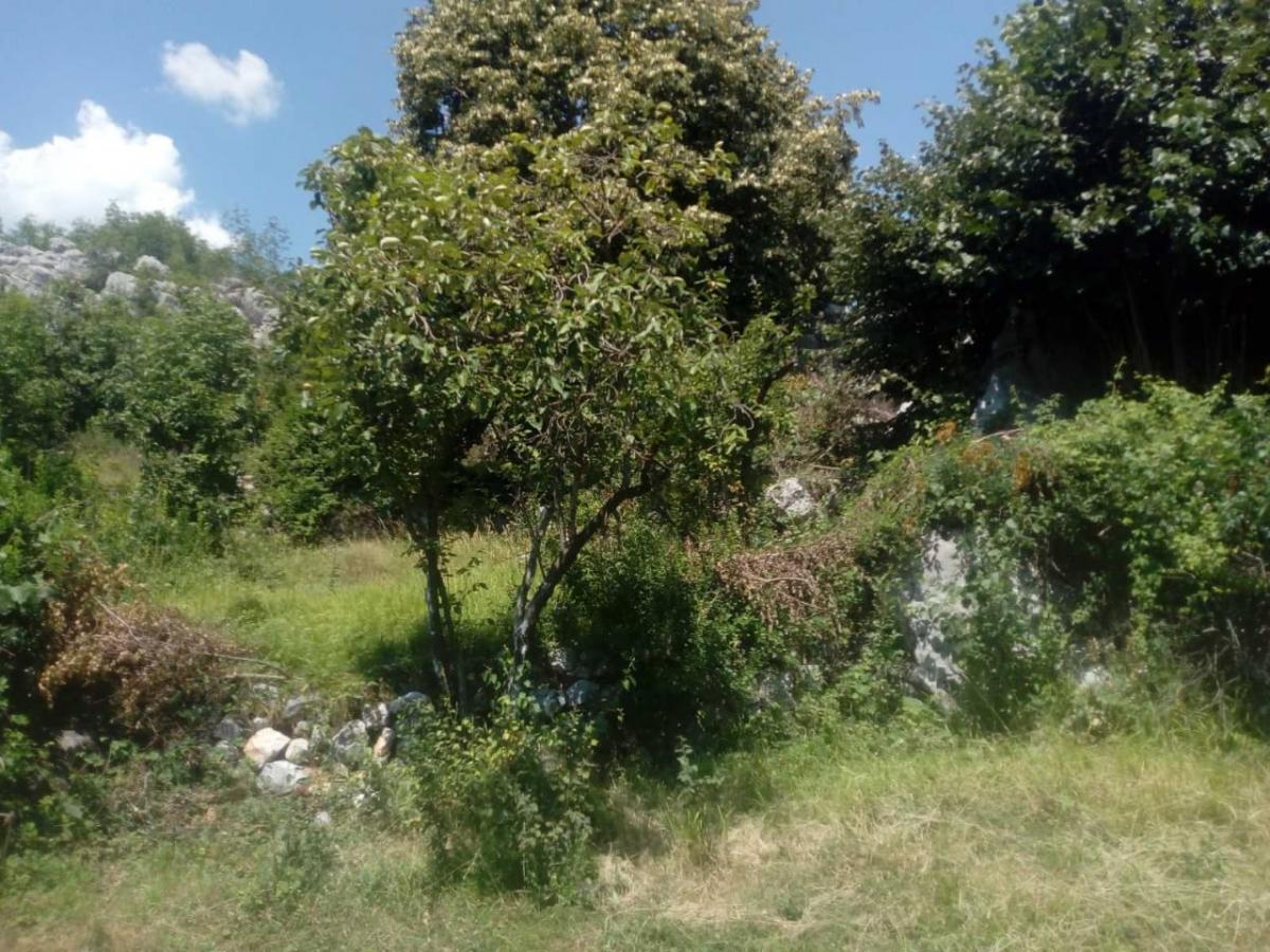 Nekretnina na Cetinju, 350m² 10