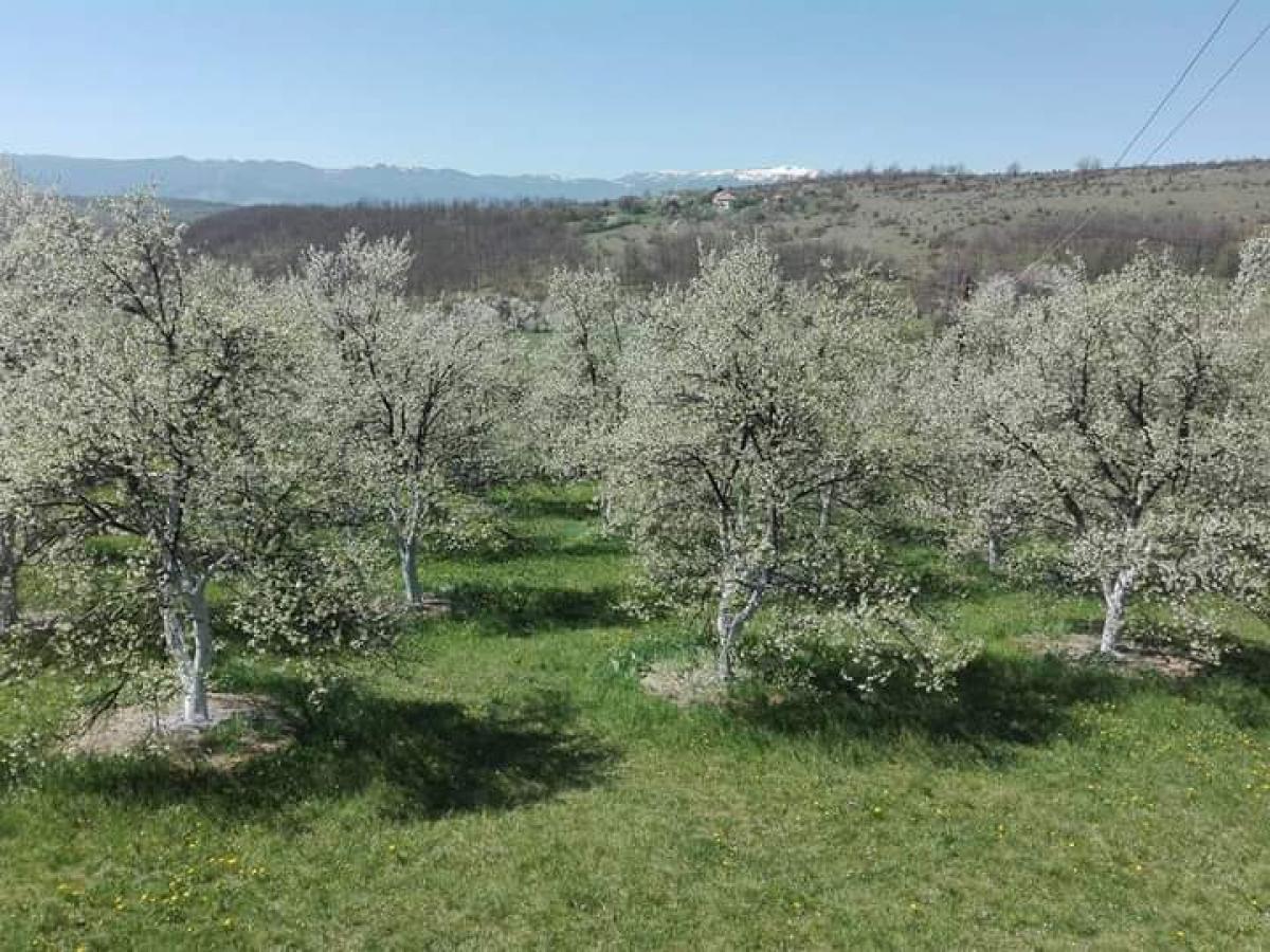 Kuća u Pljevlja, 44m² 5