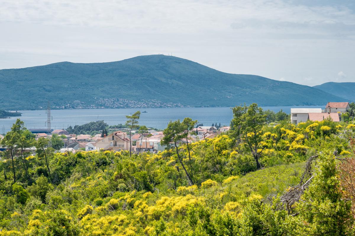 Luksuzna vila sa bazenom i pogledom na more, Tivat 3