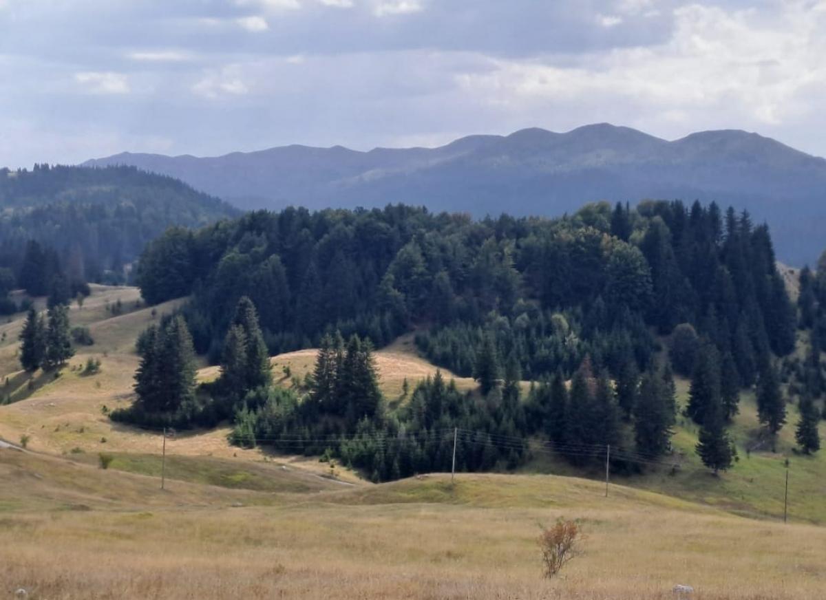 Nekretnina u Žabljak, 32786m²