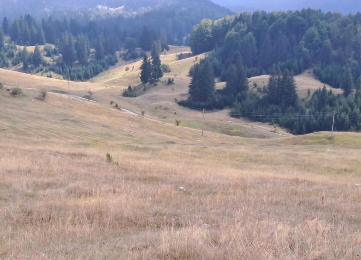 Nekretnina u Žabljak, 32786m² 2