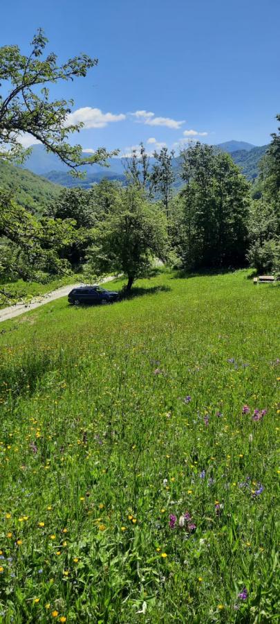 Nekretnina u Mojkovac, 19225m² 2