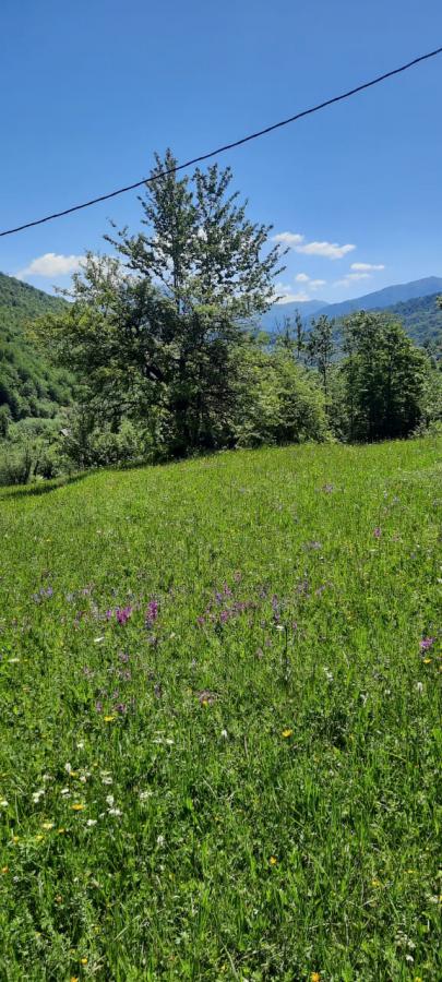Nekretnina u Mojkovac, 19225m² 4