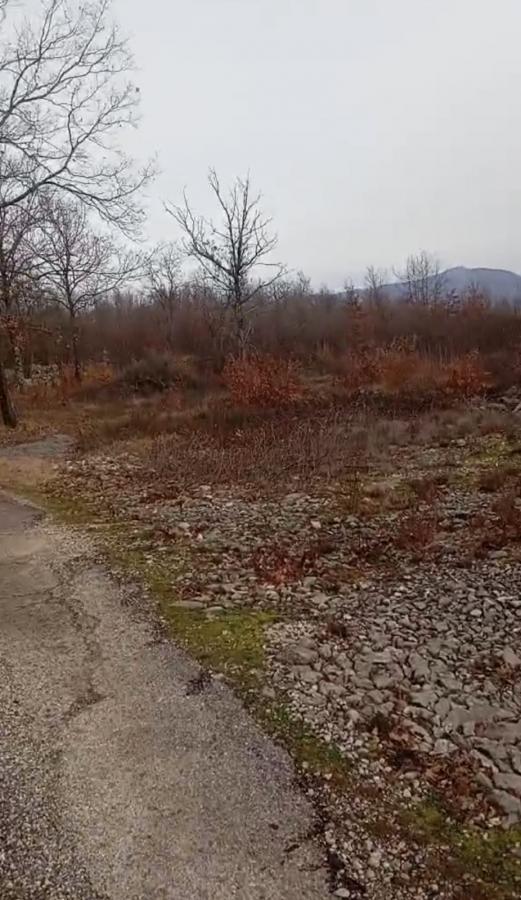 Nekretnina u Danilovgrad, 20000m²