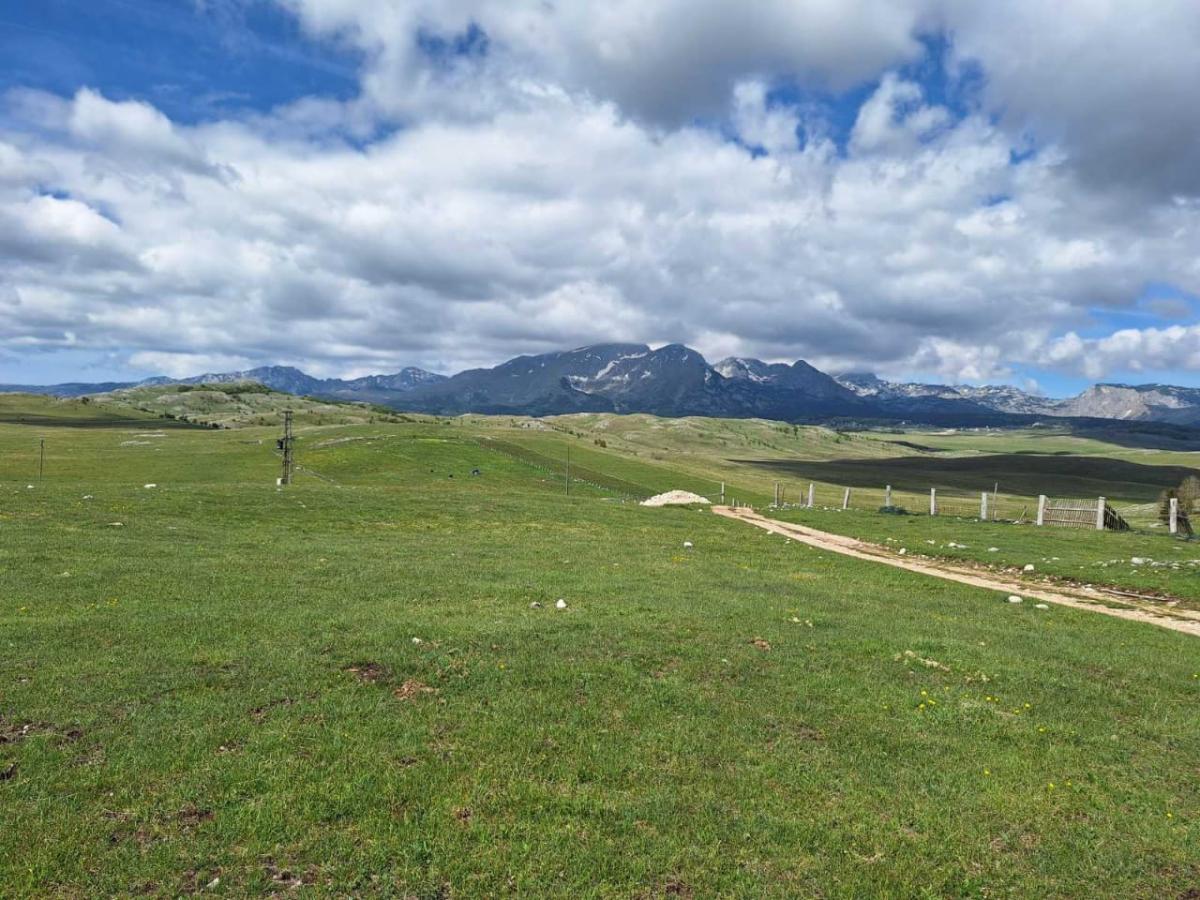 Land for Sale – Žabljak