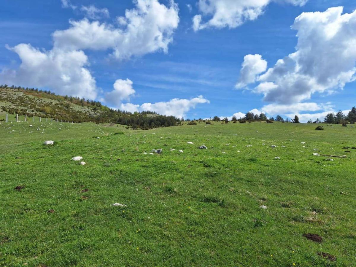 Land for Sale – Žabljak 2