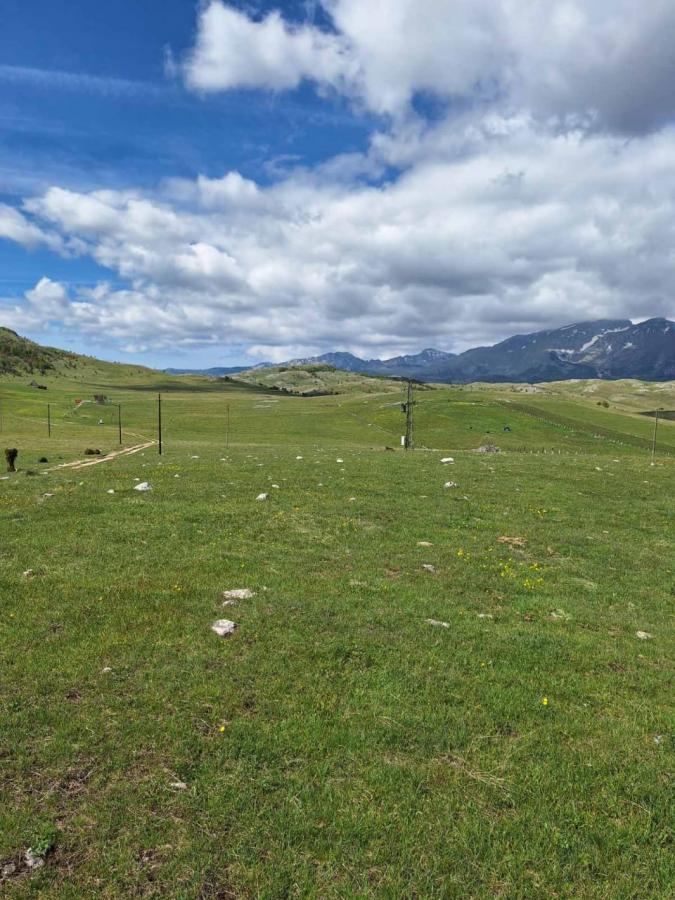 Land for Sale – Žabljak 3