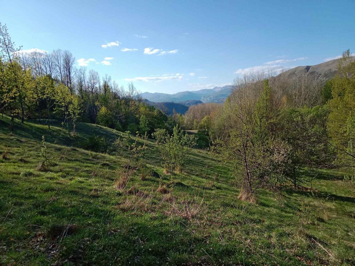 Ideal for Construction or Tourism – 13,700 m² Plot, Šavnik 2