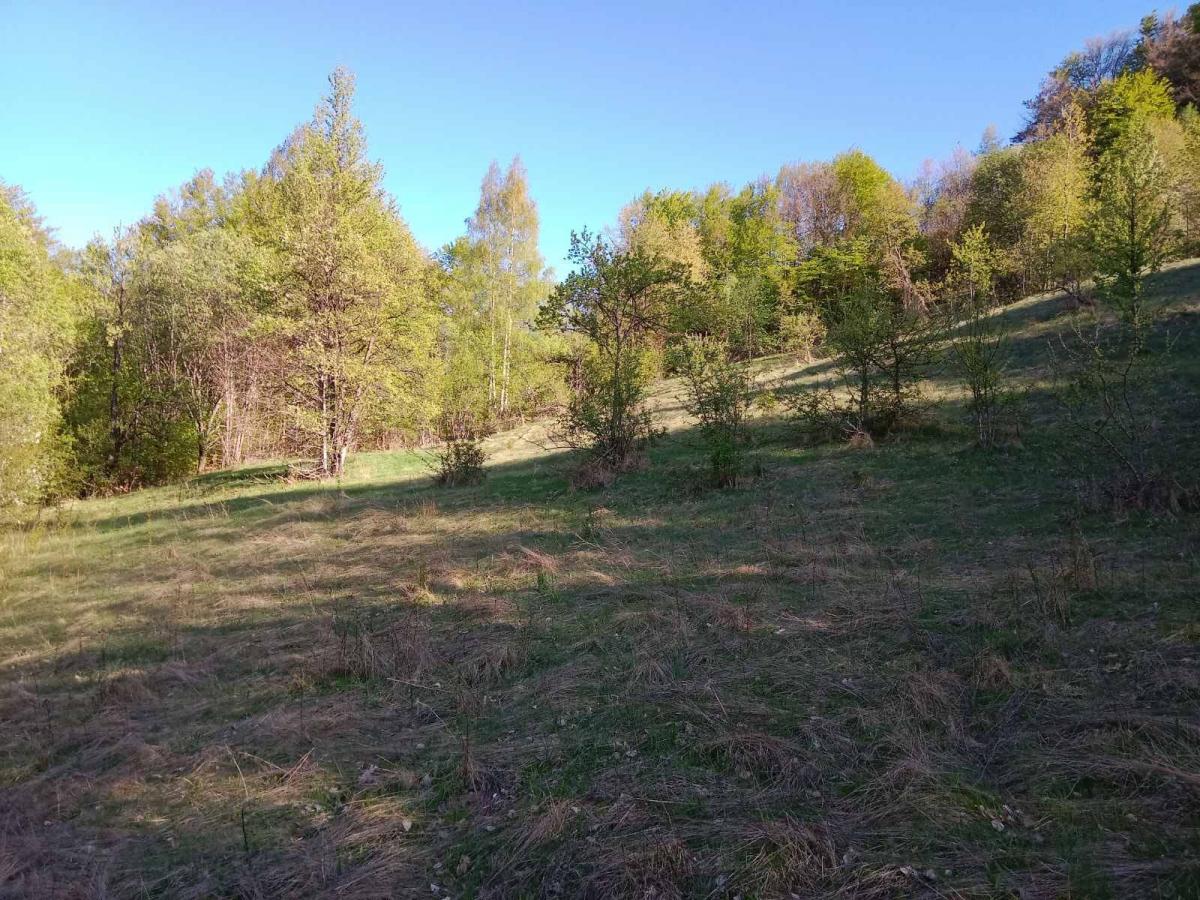 Ideal for Construction or Tourism – 13,700 m² Plot, Šavnik 3