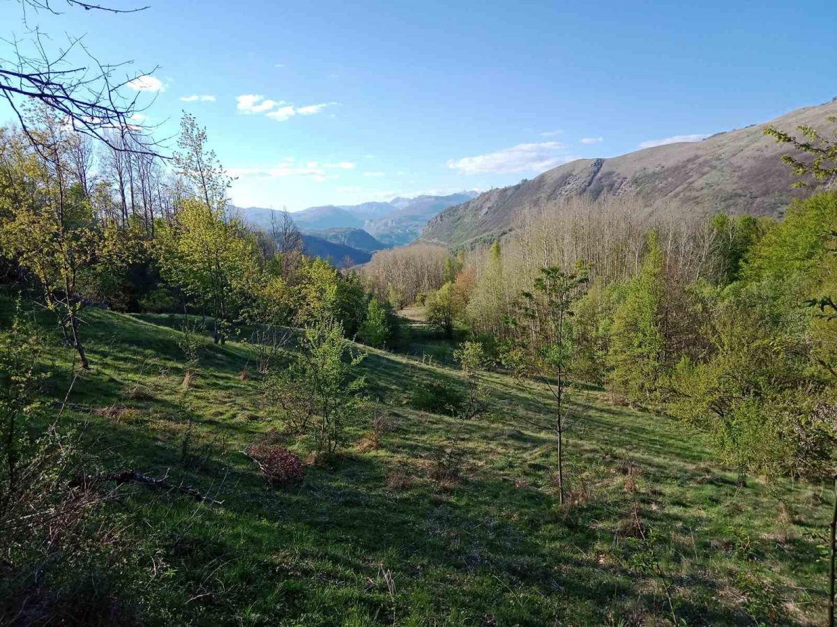 Ideal for Construction or Tourism – 13,700 m² Plot, Šavnik 4