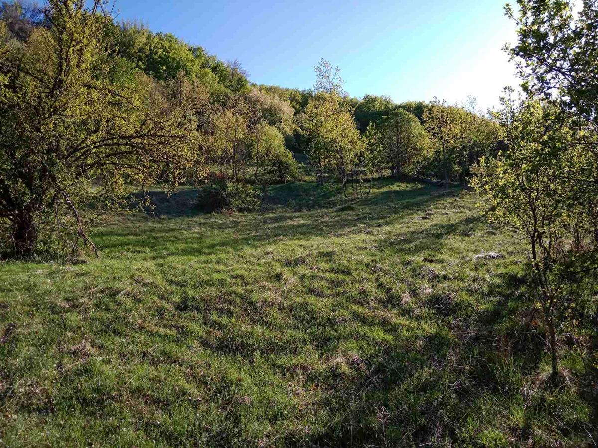 Ideal for Construction or Tourism – 13,700 m² Plot, Šavnik 5