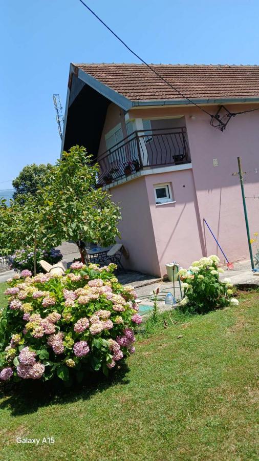 Houses for sale in Danilovgrad - quiet location