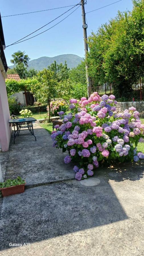 Houses for sale in Danilovgrad - quiet location 2