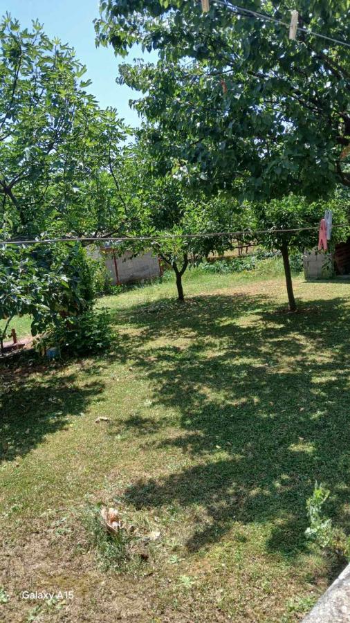 Houses for sale in Danilovgrad - quiet location 7