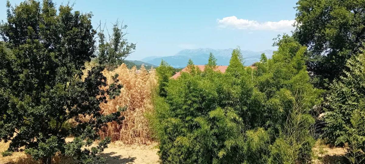 Kuća u Kotoru, 100m²