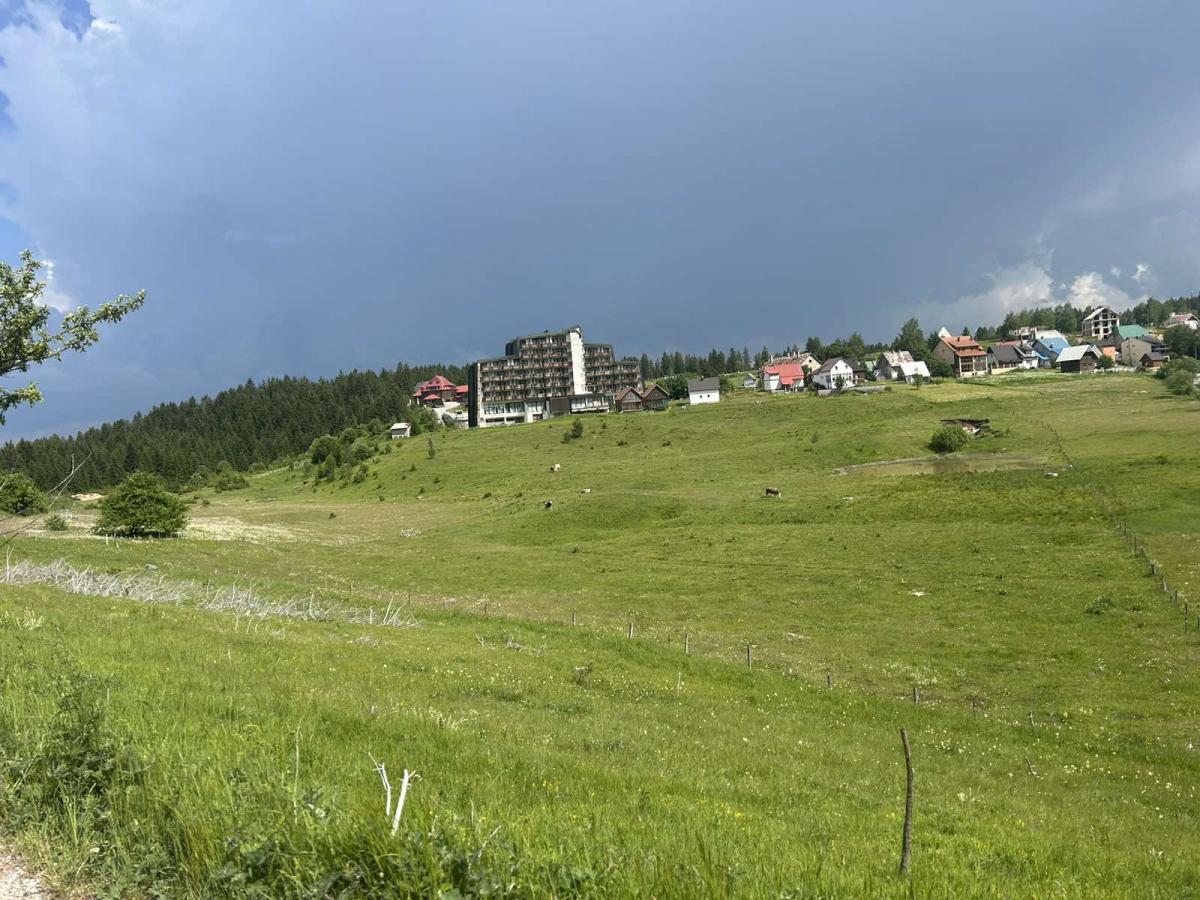 Nekretnina u Žabljak, 511m² 3