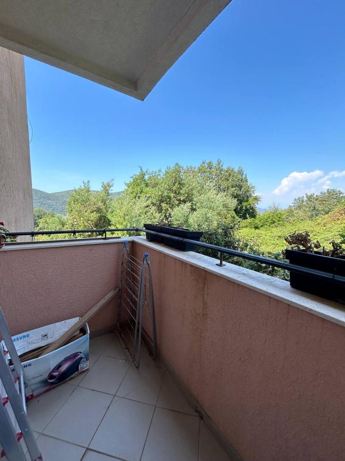 Comfortable Two-Bedroom Apartment in Seoce, Budva — 12