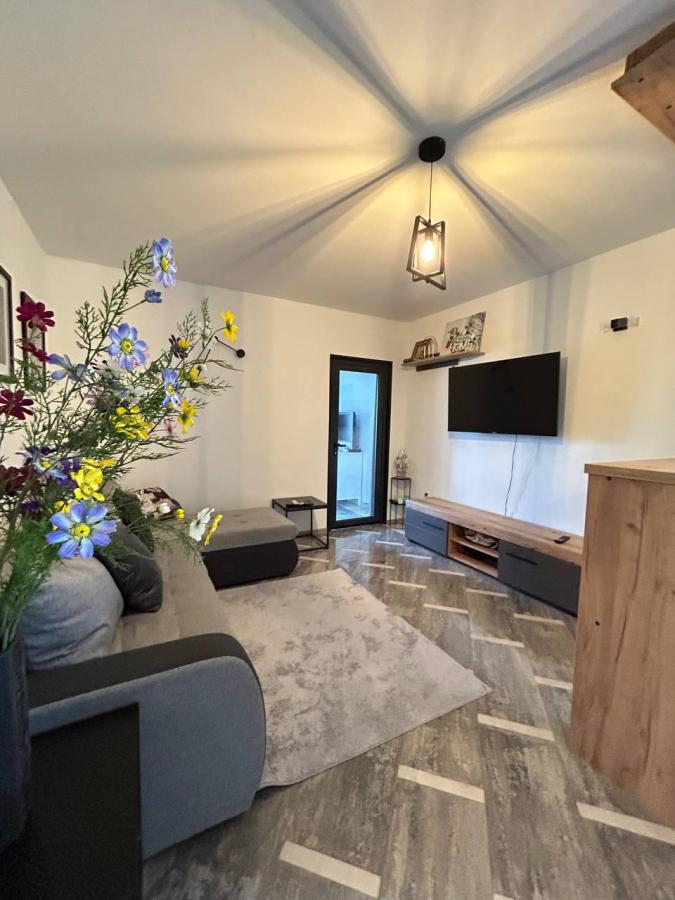 Comfortable Two-Bedroom Apartment in Seoce, Budva — 14