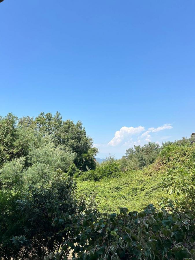 Comfortable Two-Bedroom Apartment in Seoce, Budva — 7