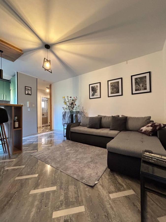 Comfortable Two-Bedroom Apartment in Seoce, Budva — 8