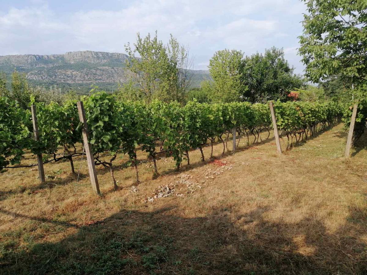 Plac u Podgorici, 0m² 2