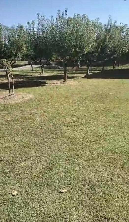 Land for Sale – Zeta, Golubovci – 5,200 m² 6