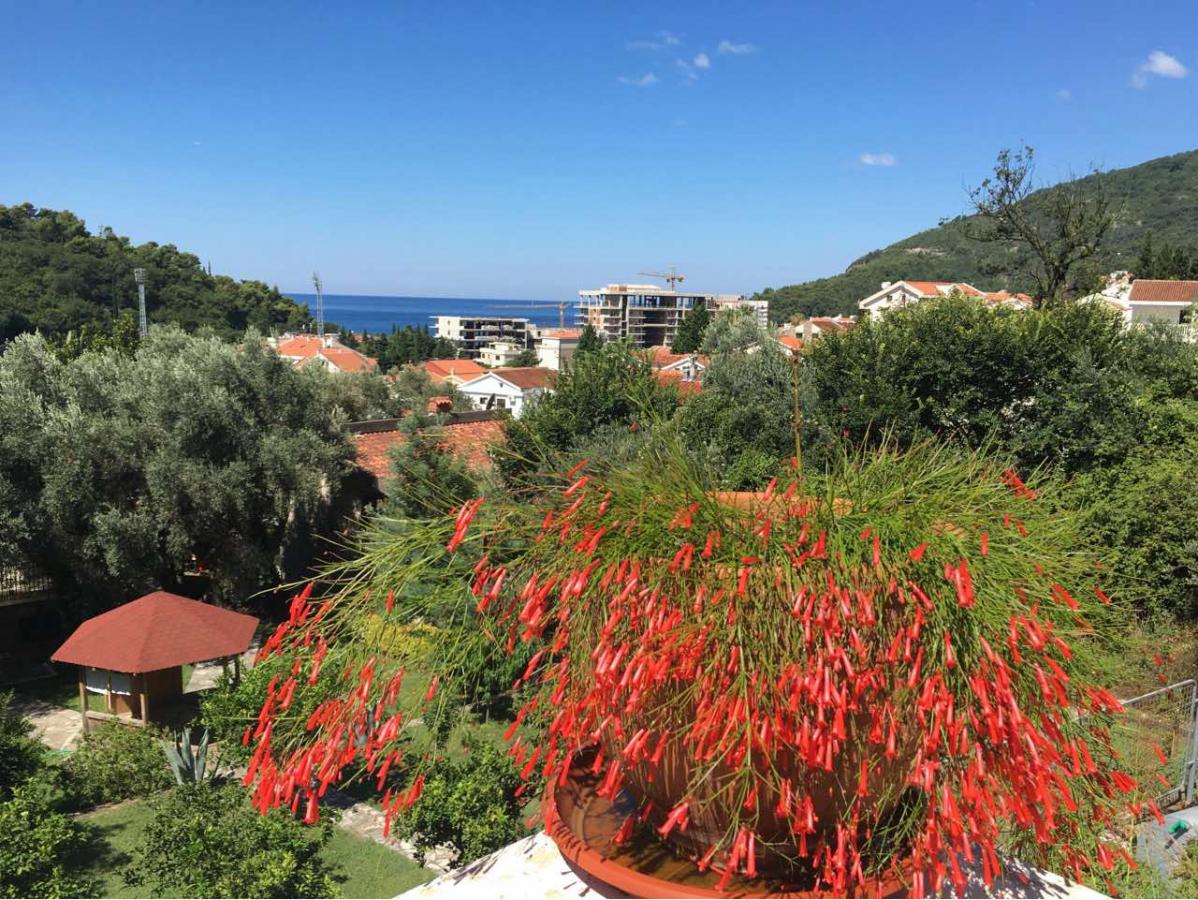 Dvosoban stan u Budvi, 58m² — 3